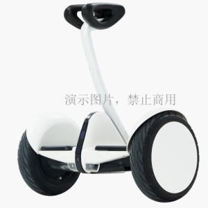 九號(hào)平衡車(chē)