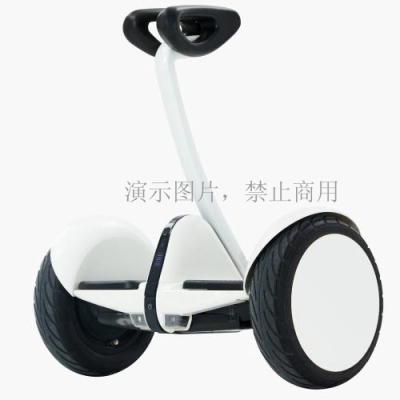 九號(hào)平衡車(chē)